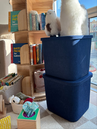 The Sculpted Bin - Original with Lid